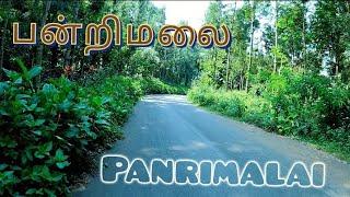 யாரும் அதிகம் அறியப்படாத பன்றிமலை|Hiding falls Panrimalai Tourist place in Dindigul