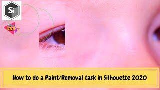 Silhouette tutorial l How to do a Paint/Removal task in Silhouette 2020 l Boris FX Silhouette paint