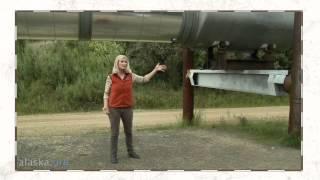 Alaska.org - Visiting The Trans Alaska/Alyeska Oil Pipeline