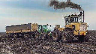 ►EXTREME Conditions!◄ Sugar Beet Transport - 11X John Deere + Claas + Ropa + Rába Steiger