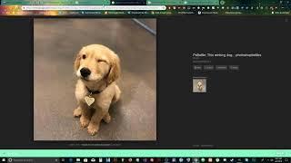 2023 Gimp Basics and How to Make a Meme -Tutorial