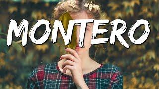 Montero ( Lil Nas X  )  - Lyrics // Magic Chill // Tiktok song