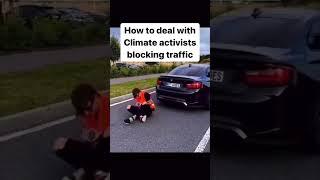 How to deal with a Climate activist #automobile blocking traffic