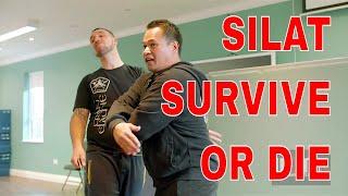 SURVIVE OR DIE SILAT