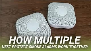 How Multiple Nest Protect Smoke Alarms Work Together