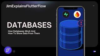 FlutterFlow - How To Use Databases