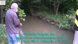 Roadside Creek Fishing