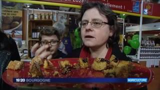 Salon de l'agriculture - Question pour un glouton : les nonnettes de Dijon