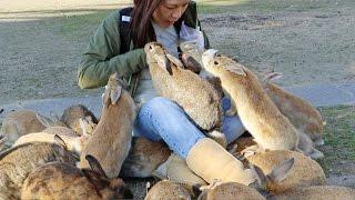 Wild Rabbits Attack Girl!