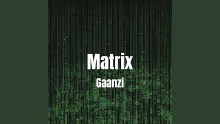 Matrix