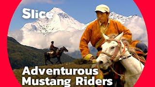 Mustang’s Horse Shows: Celebrating Jarkot’s Equestrian Heritage | SLICE