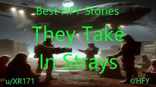 Best HFY Stories: They Take In Strays