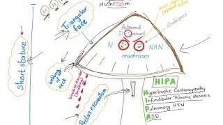 Noonan Syndrome - The Mushroom mnemonic