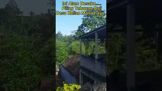 Alam Desaku di Kaki Bukit Batukaru #alamindonesia #alampedesaan #wisataalamindonesia #jalanjalan