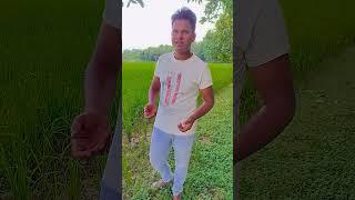 Comedy  #funny #video #MD Arif Bihari boy