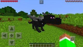 HOW TO SPAWN A BABY ENDER DRAGON in Minecraft Pocket Edition