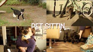 Pet Sittin