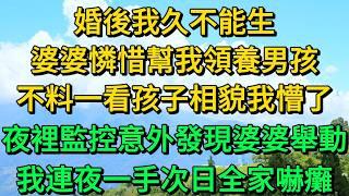 婚後我久不能生，婆婆憐惜幫我領養男孩，不料一看孩子相貌我懵了，夜裡監控意外發現婆婆舉動，我連夜一手次日全家嚇癱 | 柳梦微语