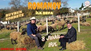 İLK DEFA ROMANOV ÇEKTİM | 8 FARKLI IRK BİR ARADA | ZONGULDAK