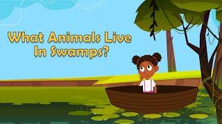 What Animals Live In Swamps? | Swamp Animals | Animal Facts | Facts for Kids