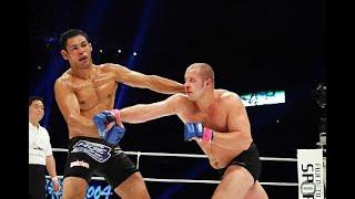 FEDOR EMELIANENKO - PRIDE HIGHLIGHTS