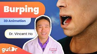 What Happens During Burping? | 3D Animation