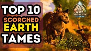 The TOP 10 TAMES on SCORCHED EARTH