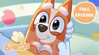 Baby Bingo   | Dad Baby - Bluey Full Episode | Bingo - Official Channel