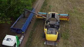 New Holland - Mavic Mini - Соняшник 2020