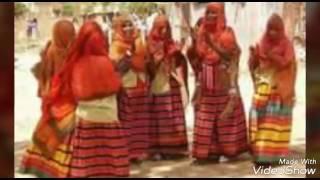 Eritrean music saho Elilisha  2017 