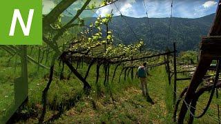 Land&Leben: Biodynamische Höfe in Südtirol