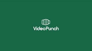 VideoPunch Overview