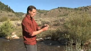 How to Measure Dissolved Oxygen in Water