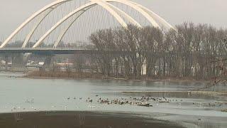 Quad Citizens react to temperate December weather