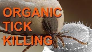 Killing Ticks With Diatomaceous Earth - An Organic Method