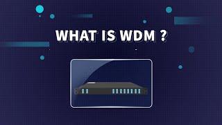 What is WDM?