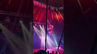 Circus Time tiktok  palmx