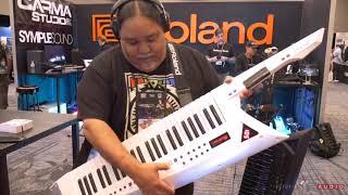 Pitbull Audio First Look - Roland AX-Edge | Synthplex 2019