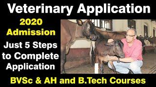 Veterinary Doctors 2020 Application Full Guidance