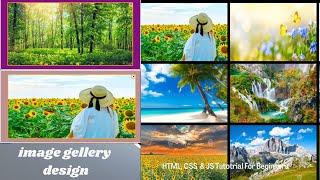 Coding Tutorial. Mastering the Art of Dynamic Image Galleries: HTML, CSS, and JavaScript Showcase.