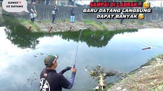 Bikin heran pemancing lain..! Baru datang mancing udah dapat banyak