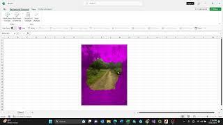 Removing background in the picture using Excel