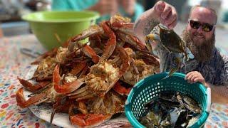 Epic Blue Crabbing in the St John’s River! Catch, clean, cook…