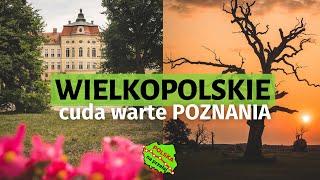 Oto WIELKOPOLSKA, która zaskakuje  PO bliższym Poznaniu / Polska Na Przełaj s02e05