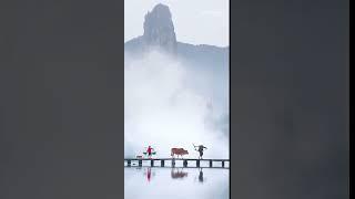 #Amazing China.Two people, a cow, a dog, and the mountains in the distanceLishui City, Zhejiang,