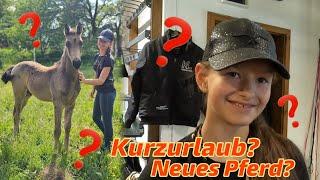 Kurzurlaub? Neues Pferd? - Was machen wir im Harz?