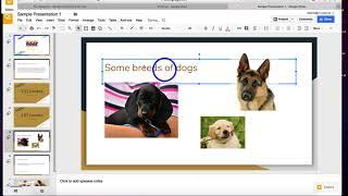 Google Slides - Image Borders