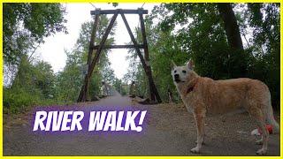 Walking the Green River from Isaac Evans Park - Relaxing Music & Nature Dog Walk