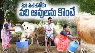 పని షతకనోడు పది ఆవులను కొంటే | wife and husband village comedy | telangana village short film