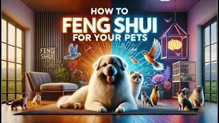 How to Feng Shui for Your Pets | Create a Happy & Healthy Home for Your Furry Friends!